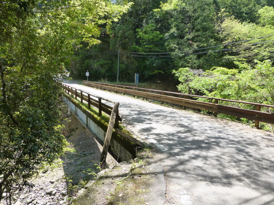 P1050409_mid.jpg
