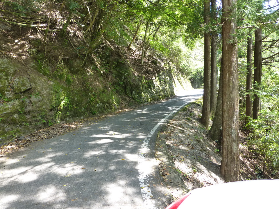 P1050410_mid.jpg