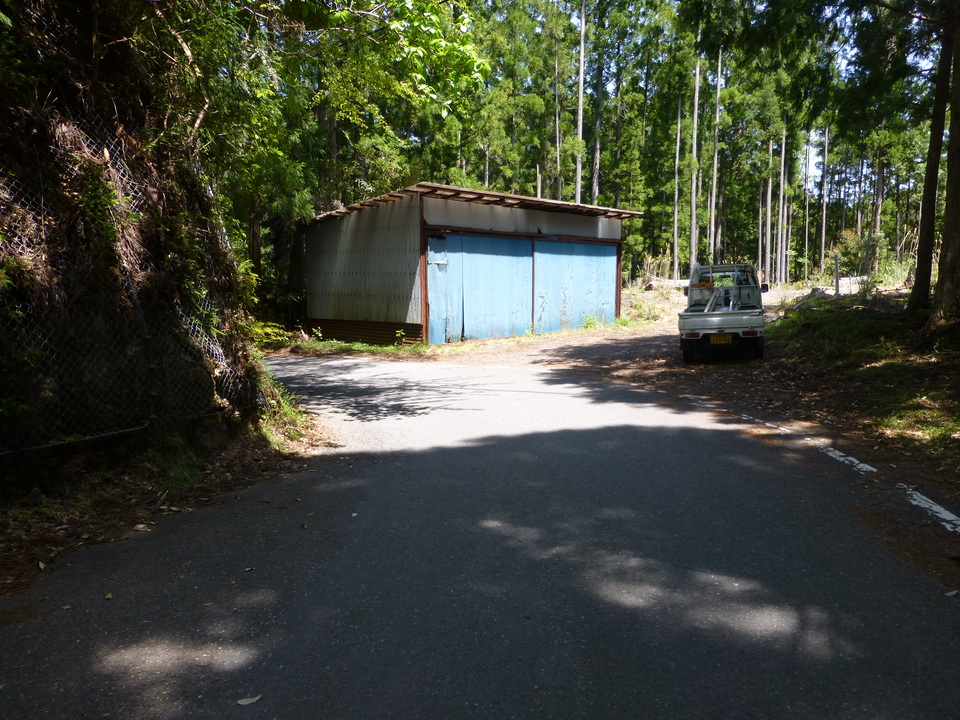 P1050413_mid.jpg