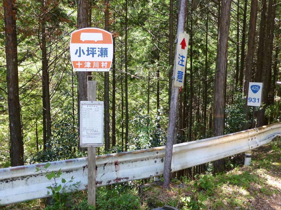 P1050414_mid.jpg