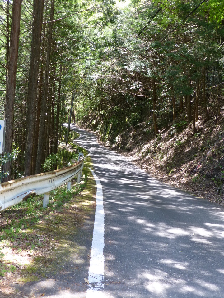P1050416_mid.jpg