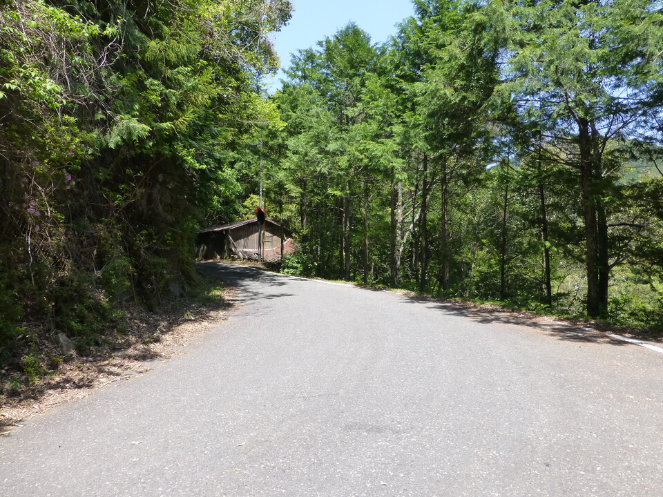 P1050417_mid.jpg