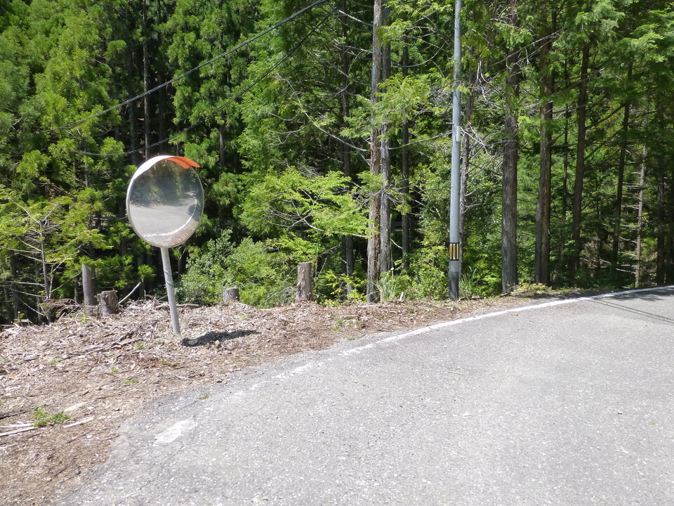 P1050418_mid.jpg