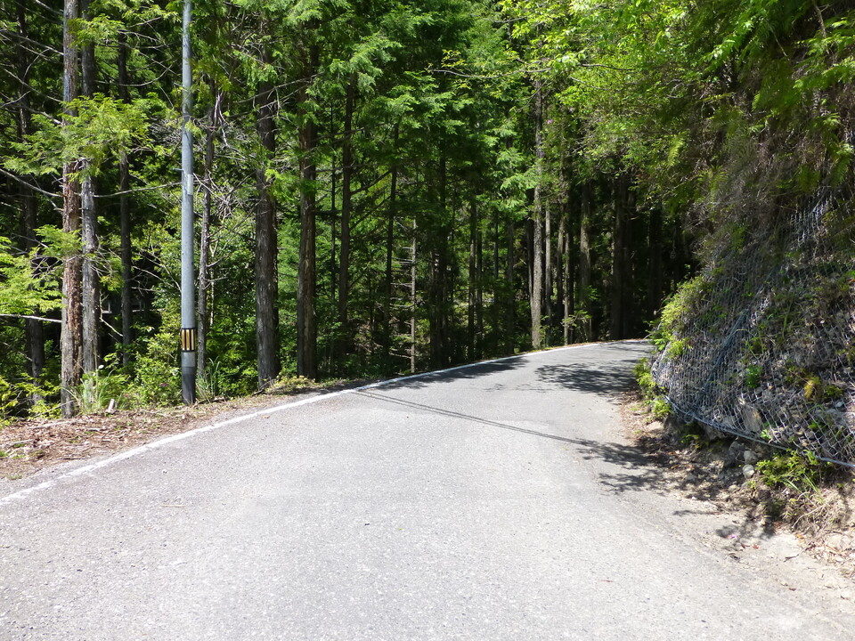 P1050419_mid.jpg