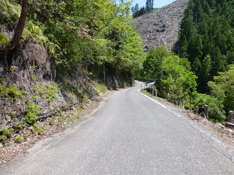 P1050420_mid.jpg