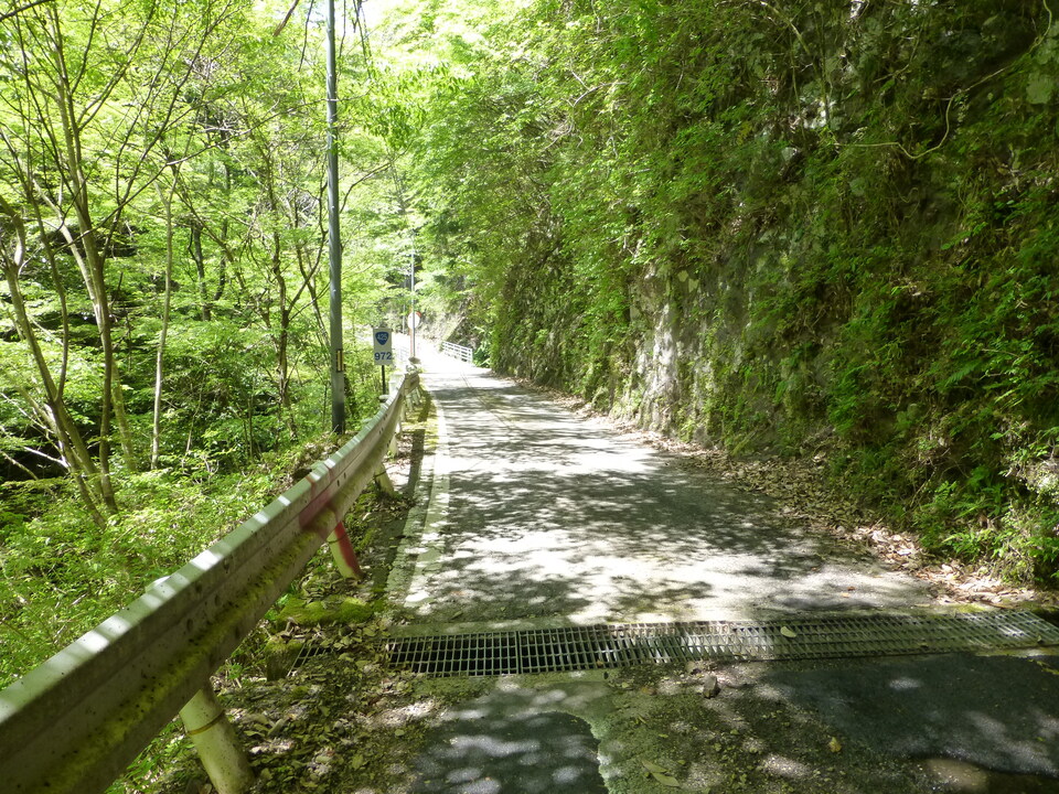 P1050425_mid.jpg
