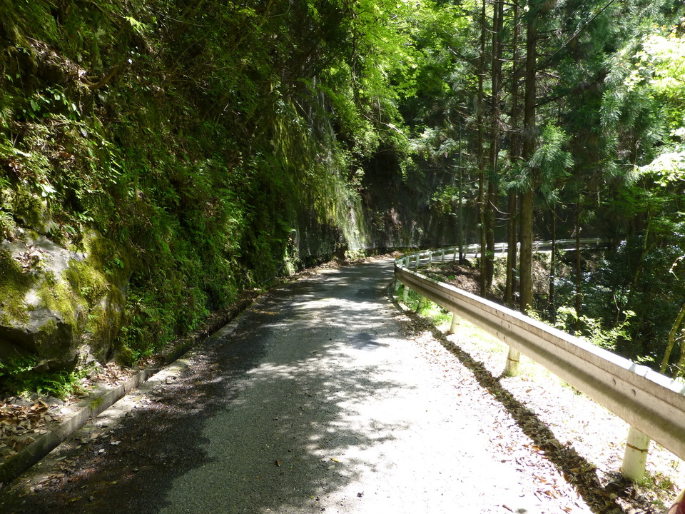 P1050426_mid.jpg