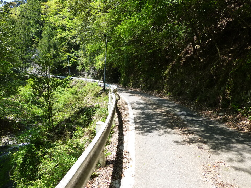 P1050428_mid.jpg