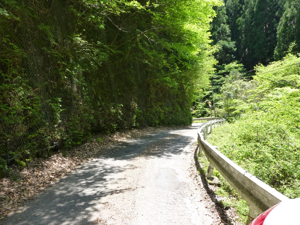P1050429_mid.jpg
