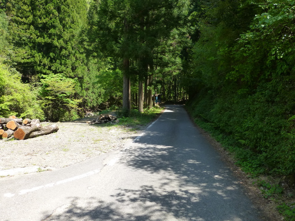 P1050432_mid.jpg