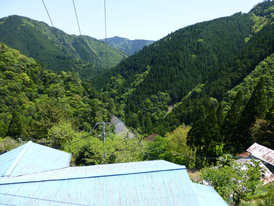 P1050436_mid.jpg
