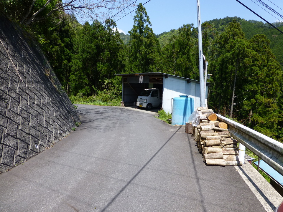 P1050438_mid.jpg