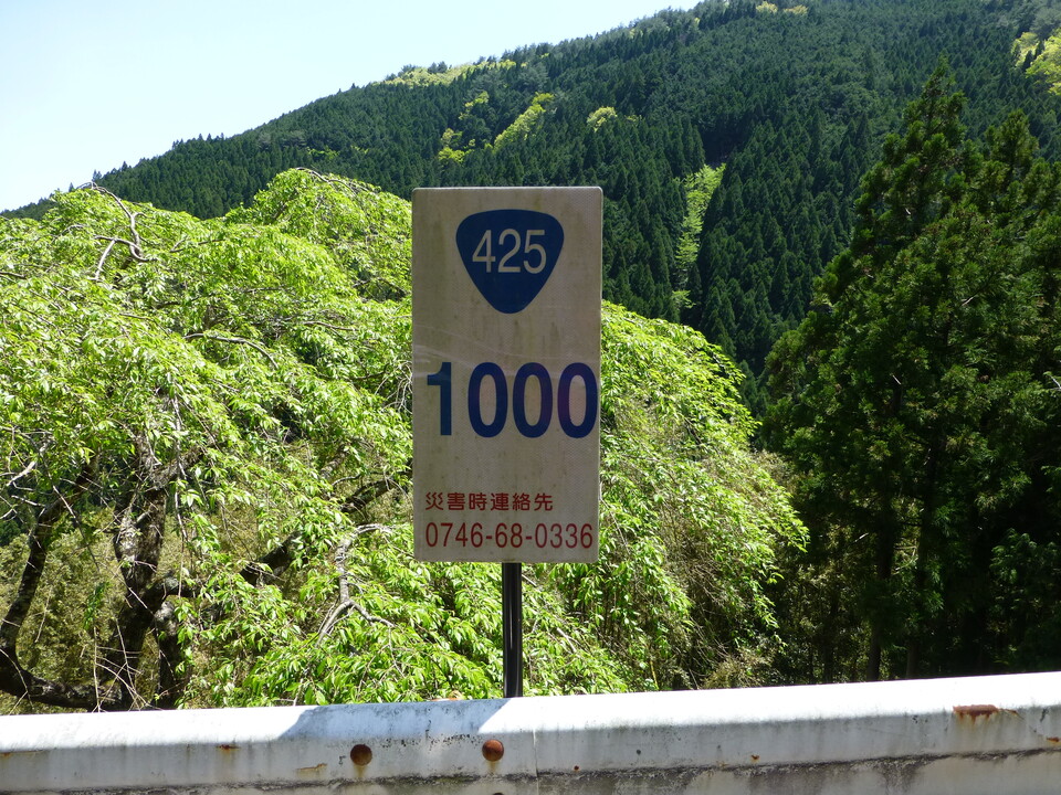 P1050441_mid.jpg