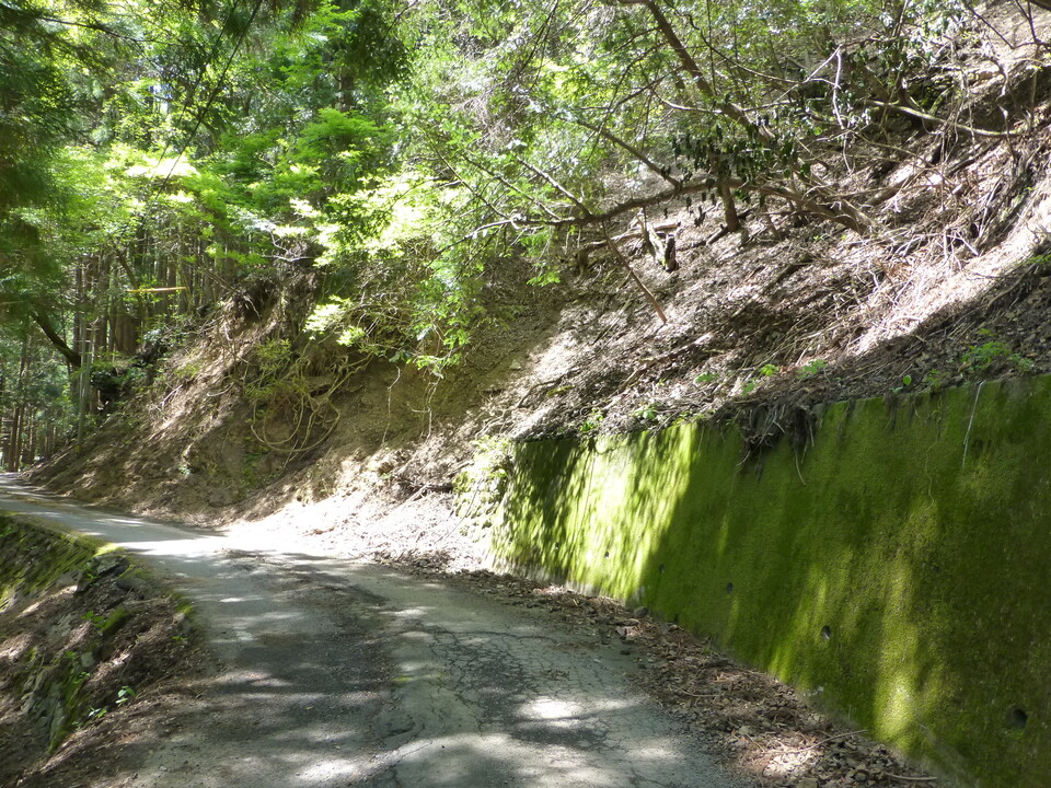 P1050448_mid.jpg