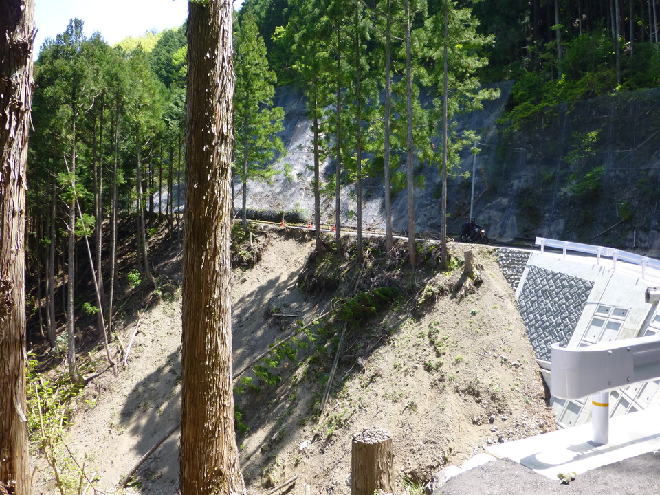 P1050451_mid.jpg