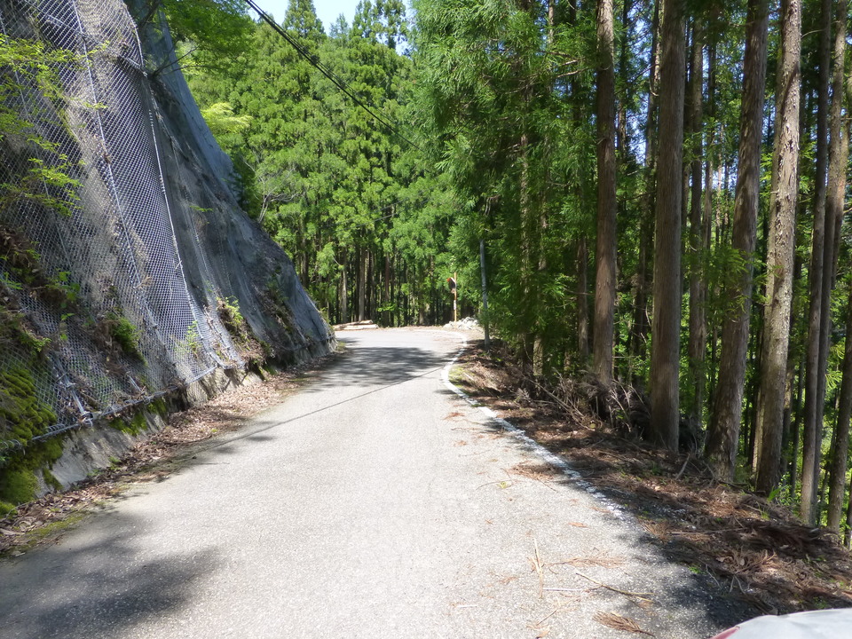 P1050452_mid.jpg