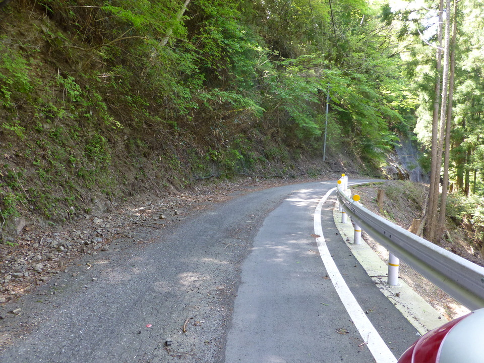 P1050456_mid.jpg