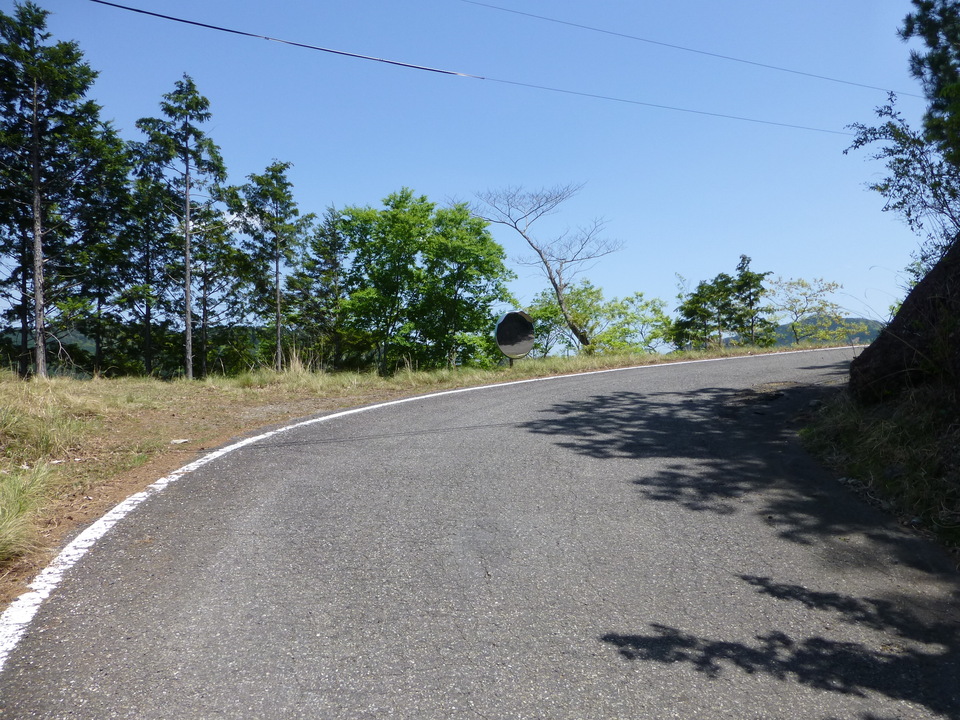 P1050457_mid.jpg