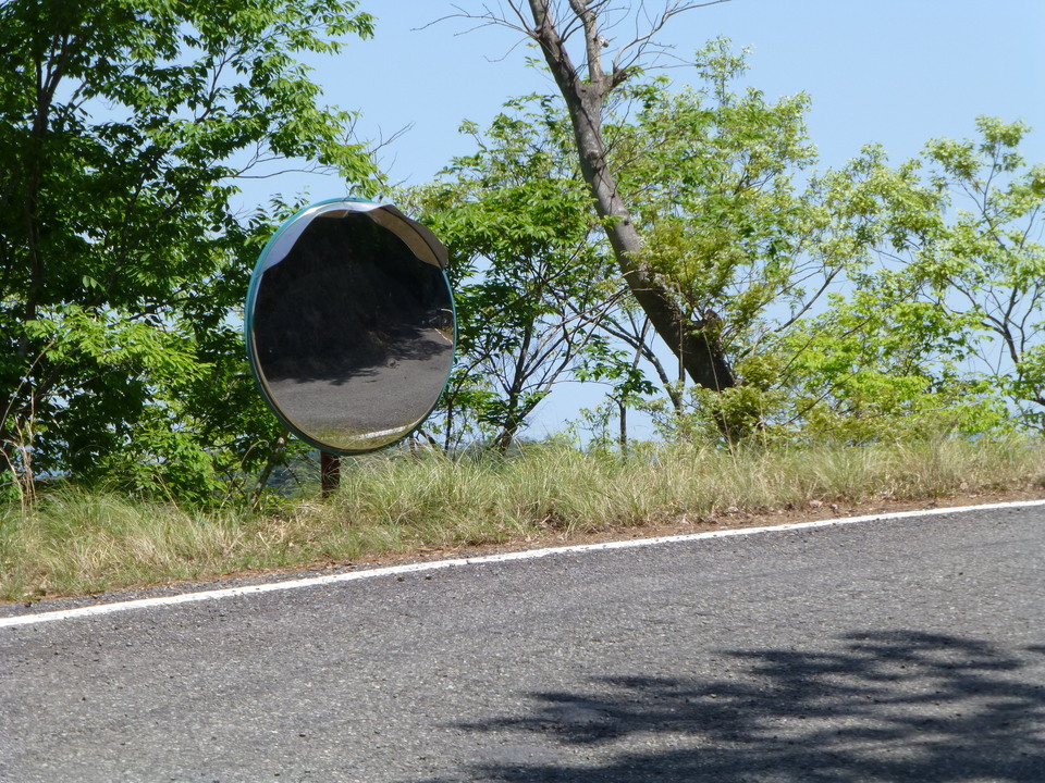 P1050458_mid.jpg