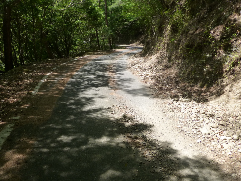 P1050463_mid.jpg