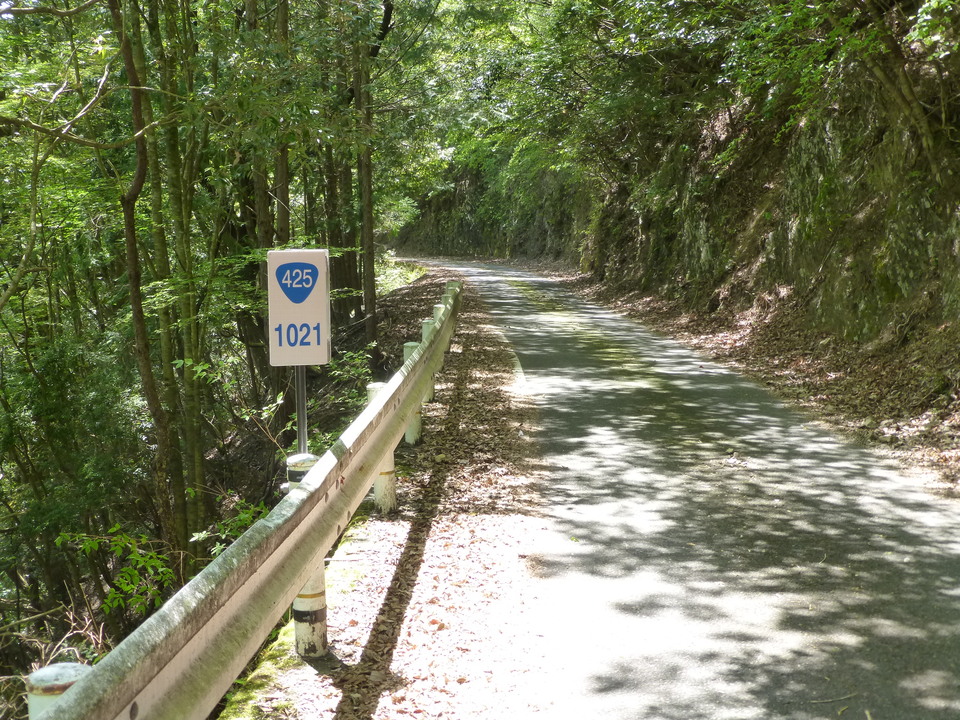 P1050465_mid.jpg