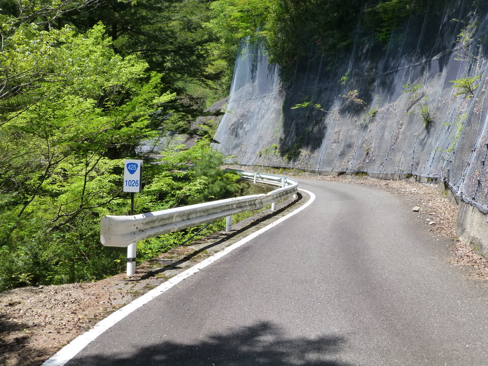 P1050466_mid.jpg