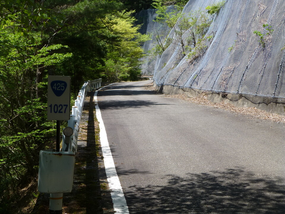 P1050468_mid.jpg