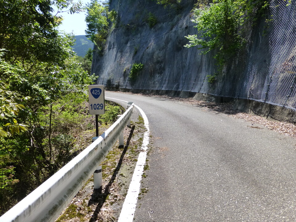 P1050470_mid.jpg