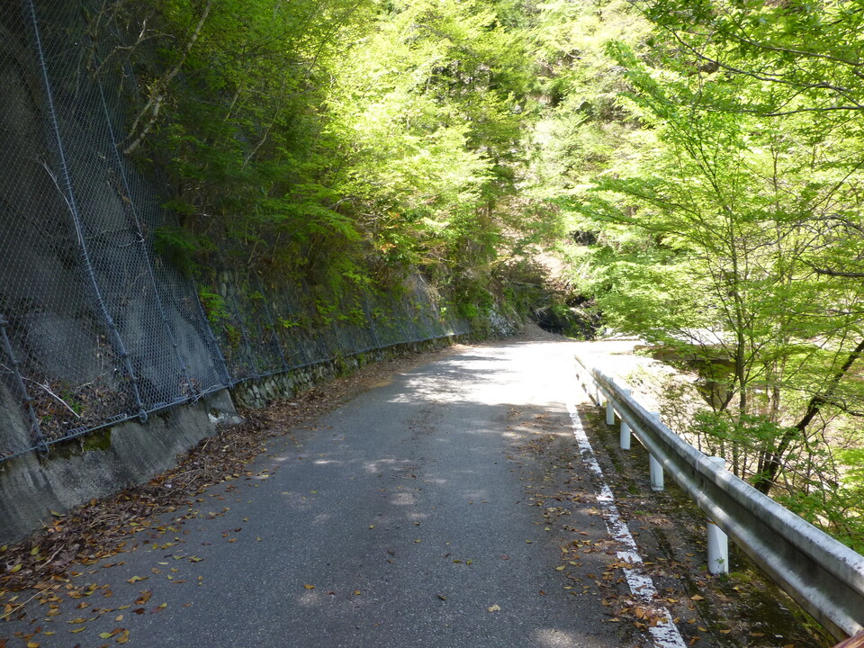 P1050473_mid.jpg