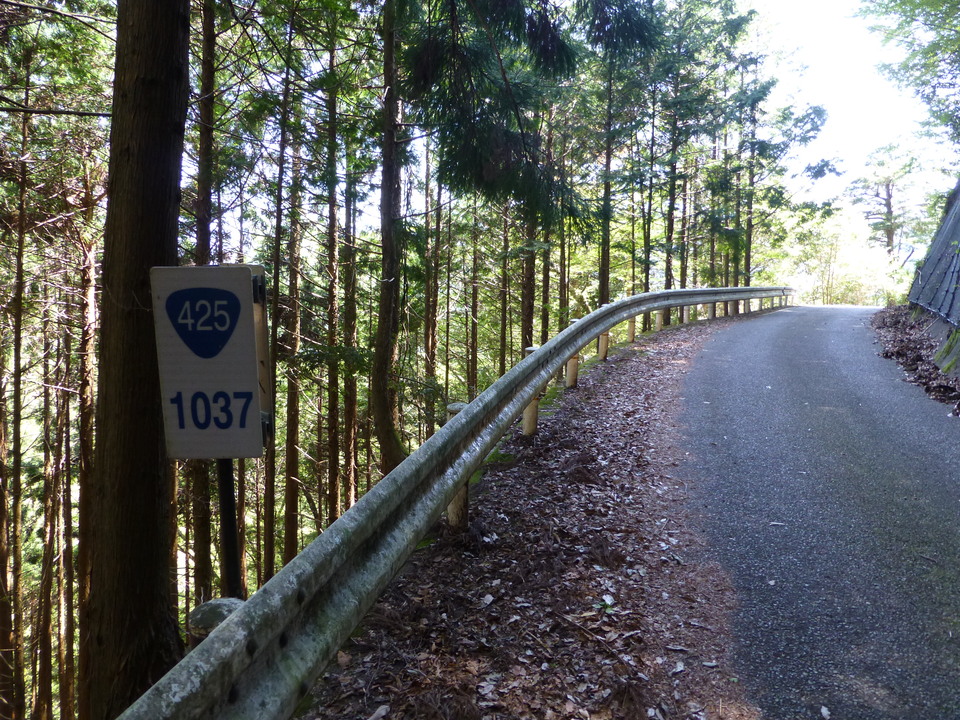 P1050474_mid.jpg