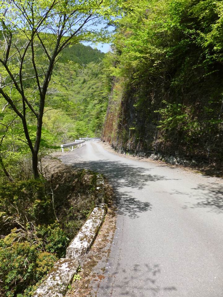 P1050488_mid.jpg