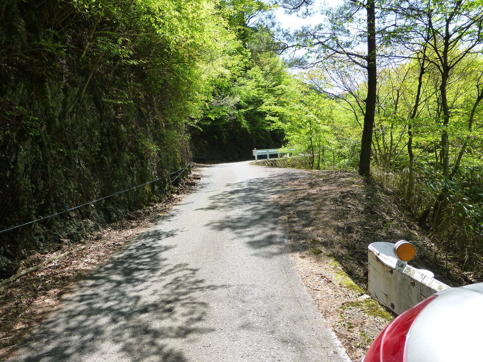 P1050492_mid.jpg