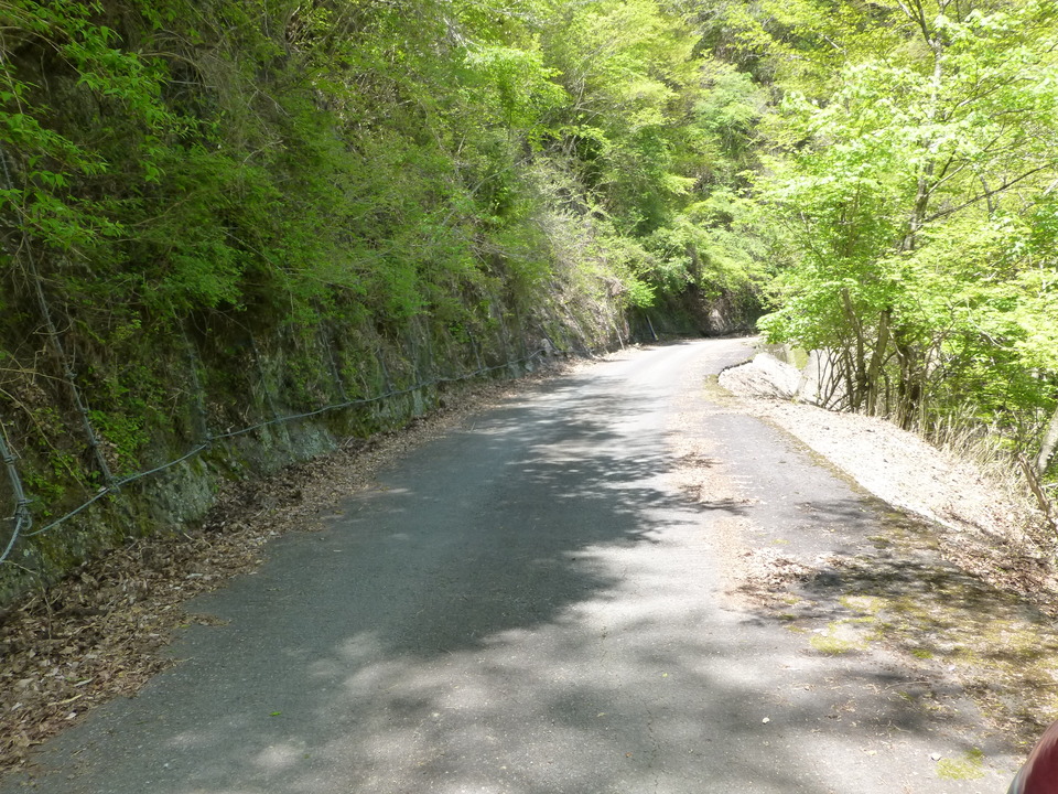 P1050494_mid.jpg