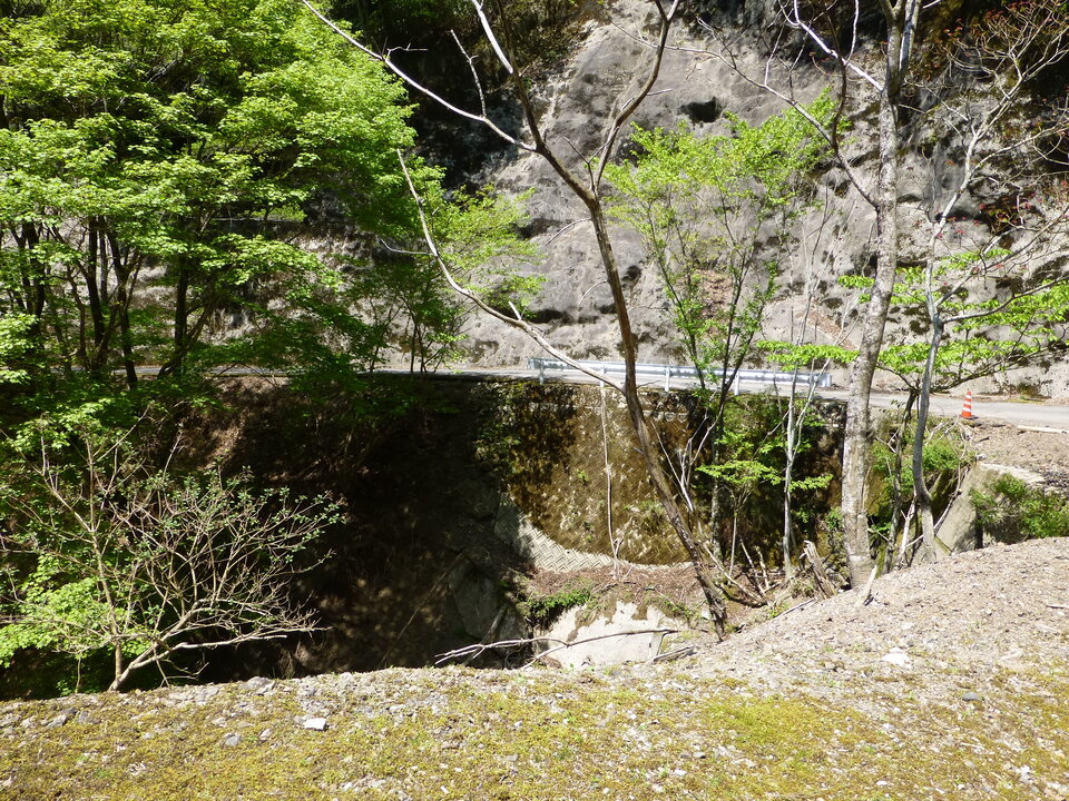 P1050496_mid.jpg