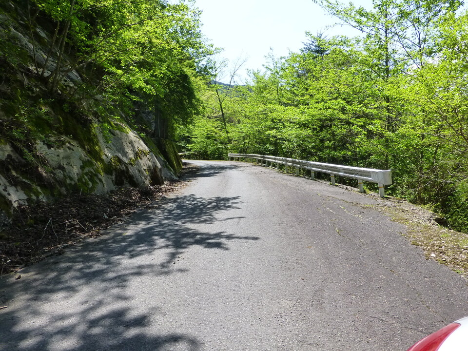 P1050497_mid.jpg