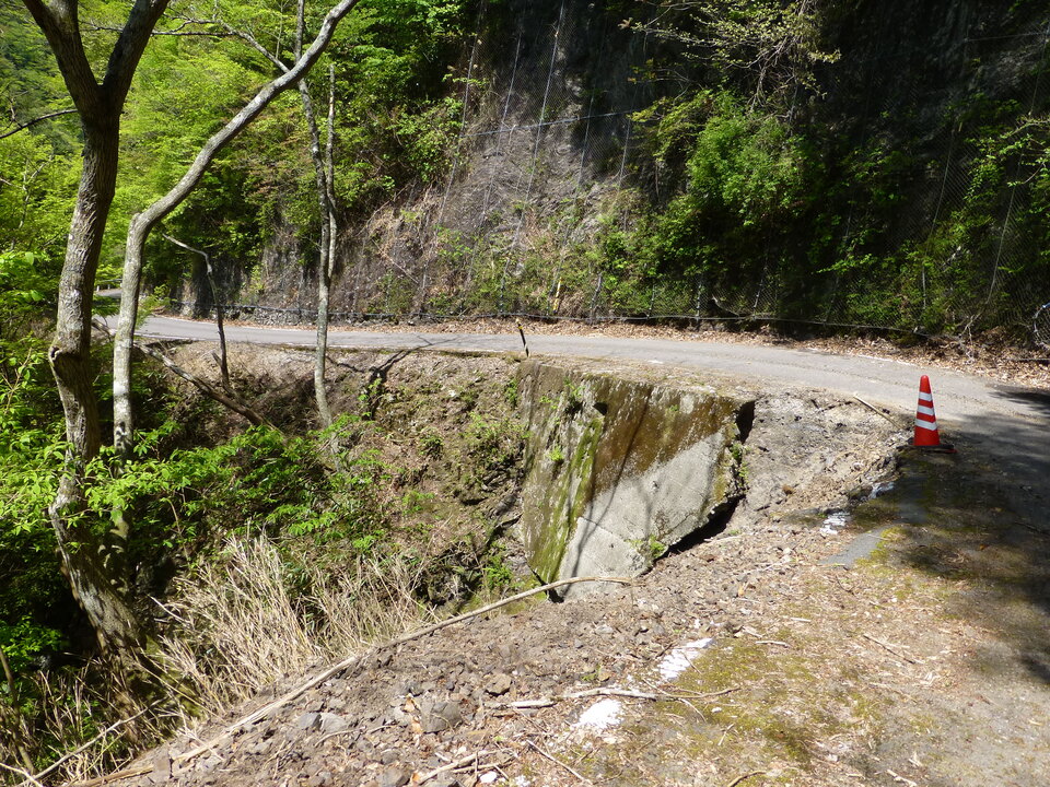 P1050498_mid.jpg