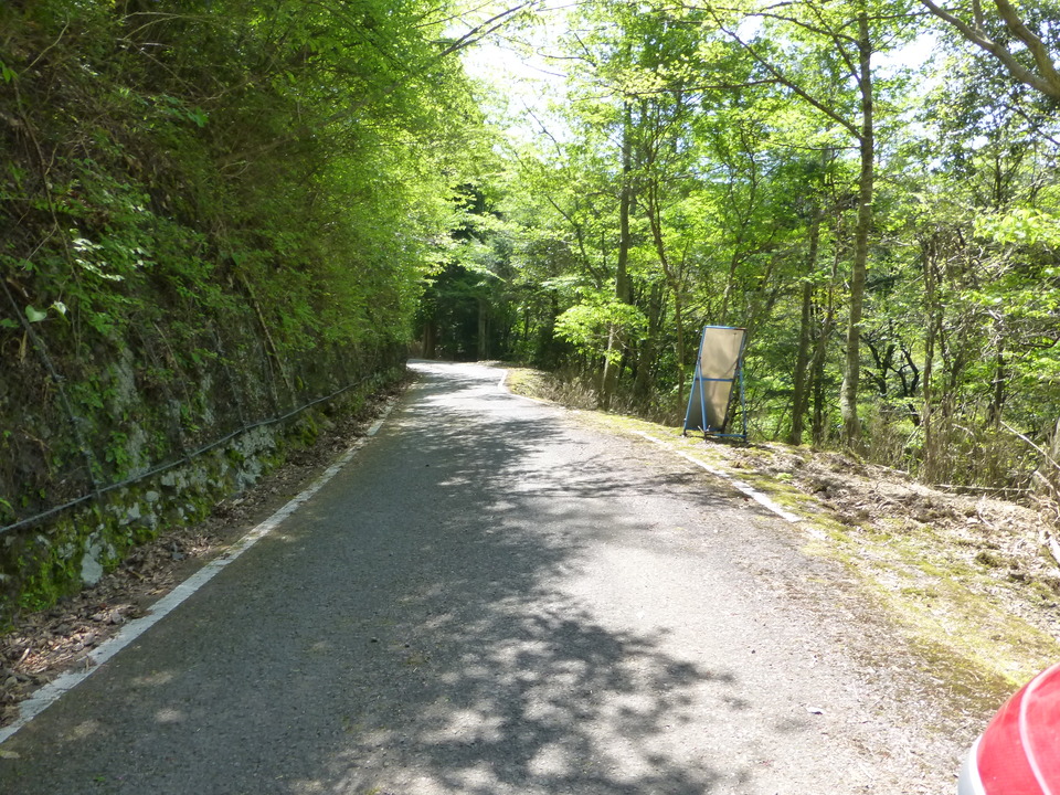 P1050499_mid.jpg