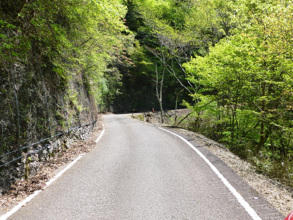 P1050501_mid.jpg