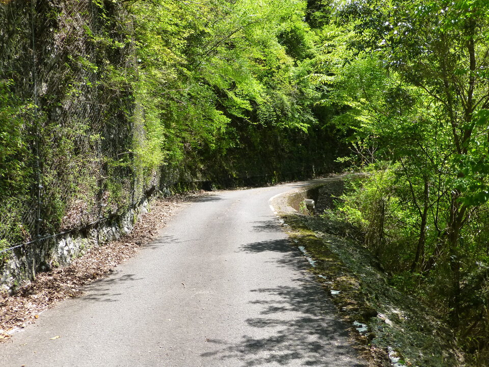 P1050503_mid.jpg