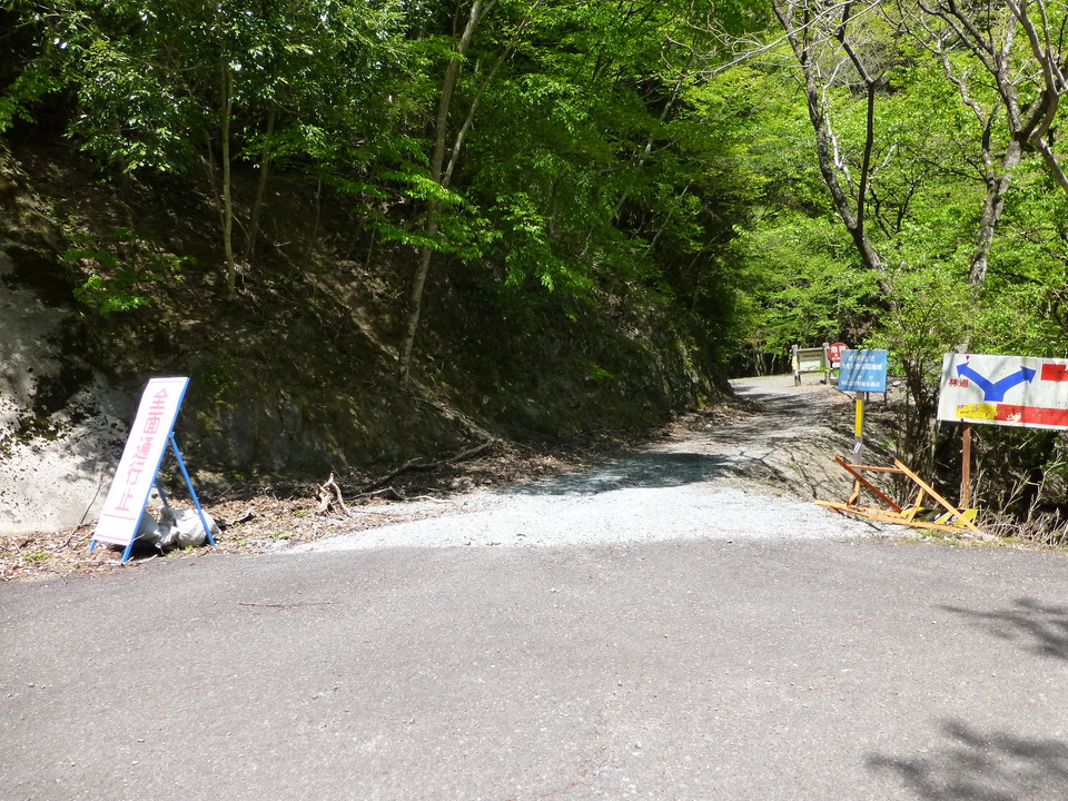 P1050504_mid.jpg