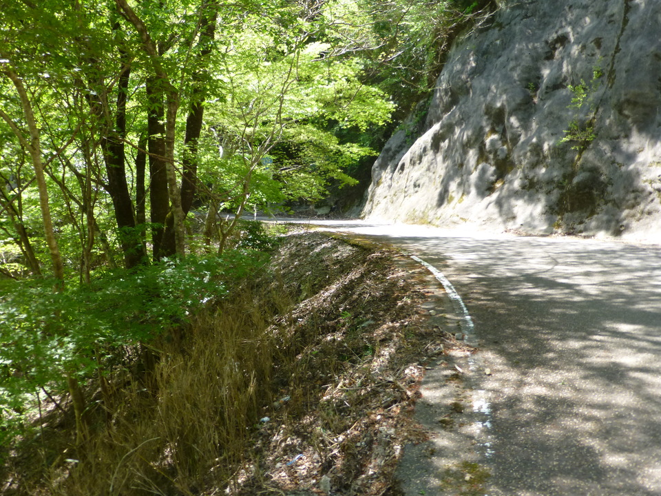 P1050506_mid.jpg
