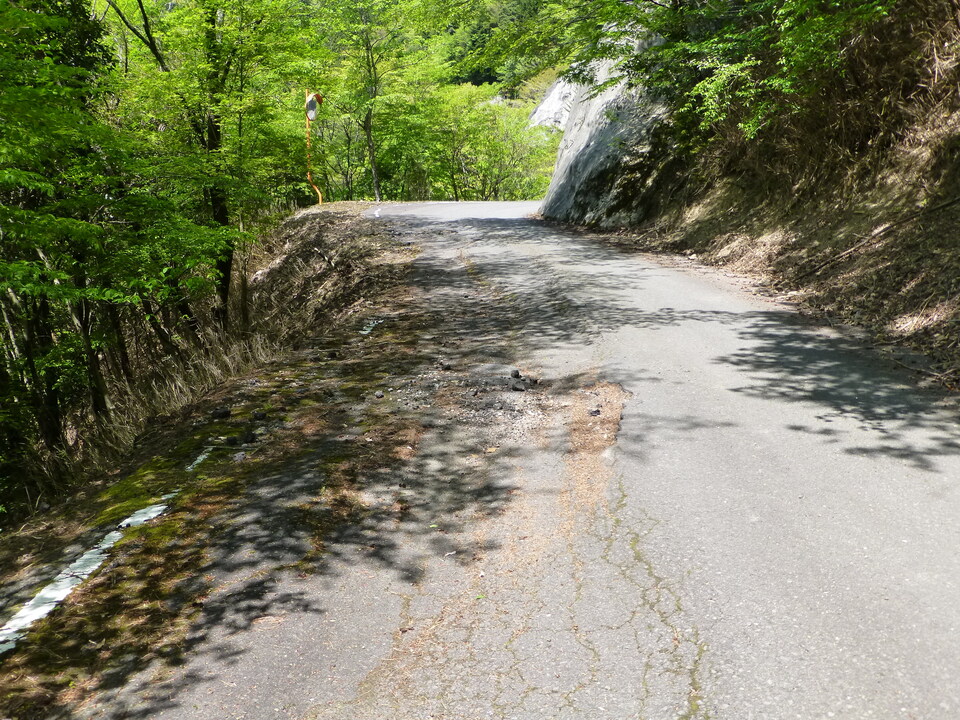 P1050508_mid.jpg