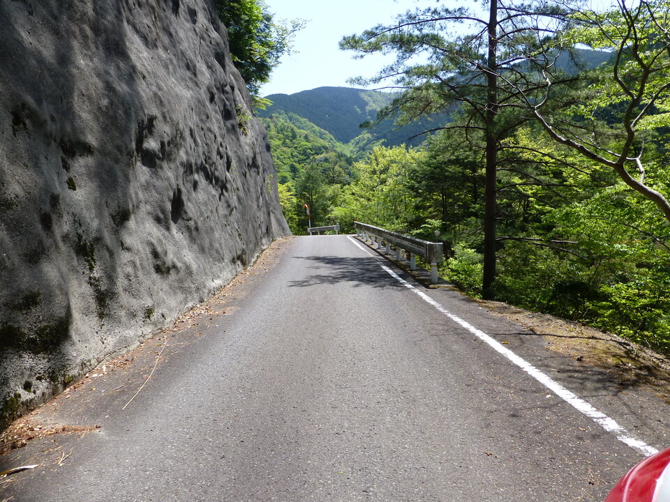 P1050509_mid.jpg