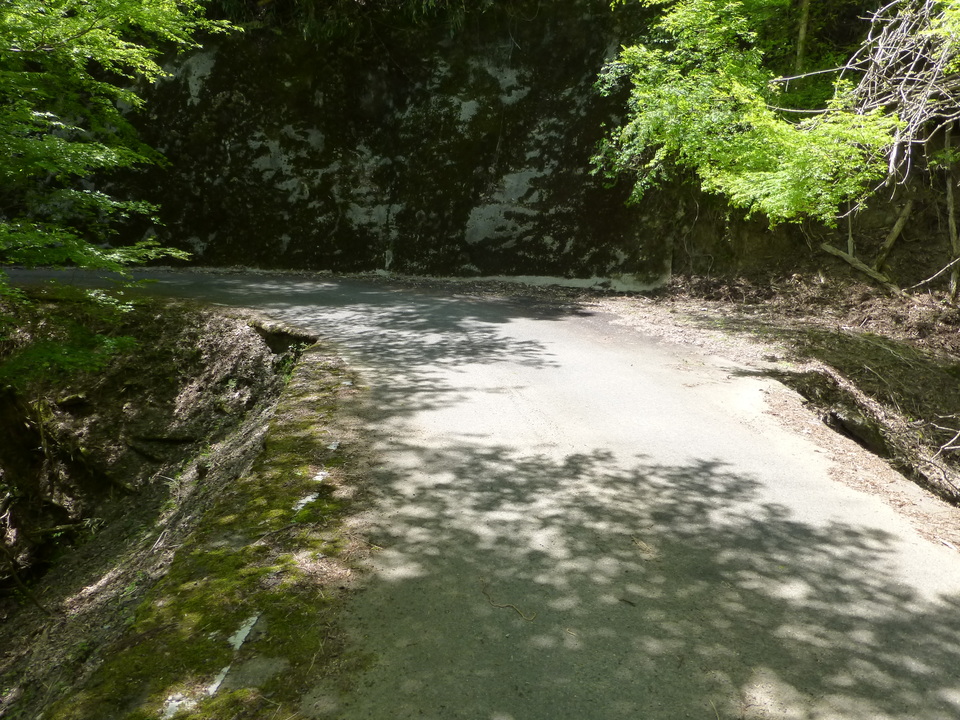P1050512_mid.jpg