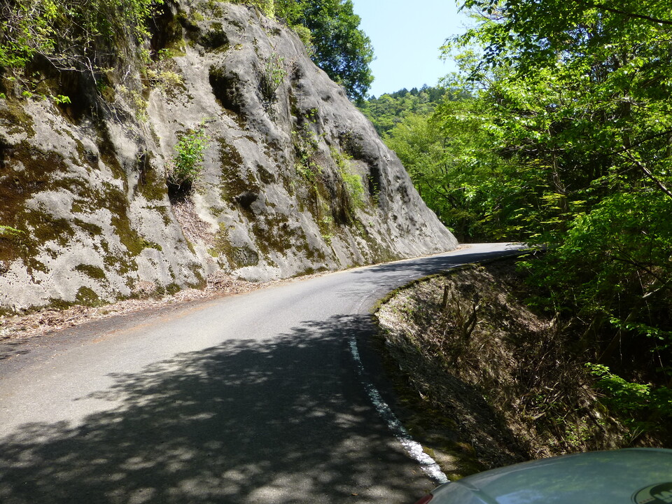 P1050514_mid.jpg