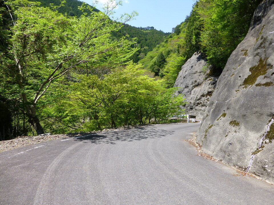 P1050516_mid.jpg