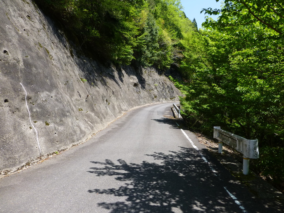 P1050517_mid.jpg