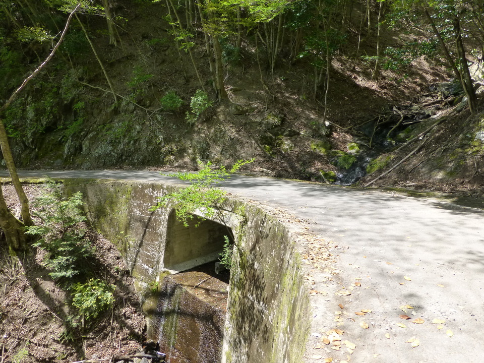 P1050518_mid.jpg