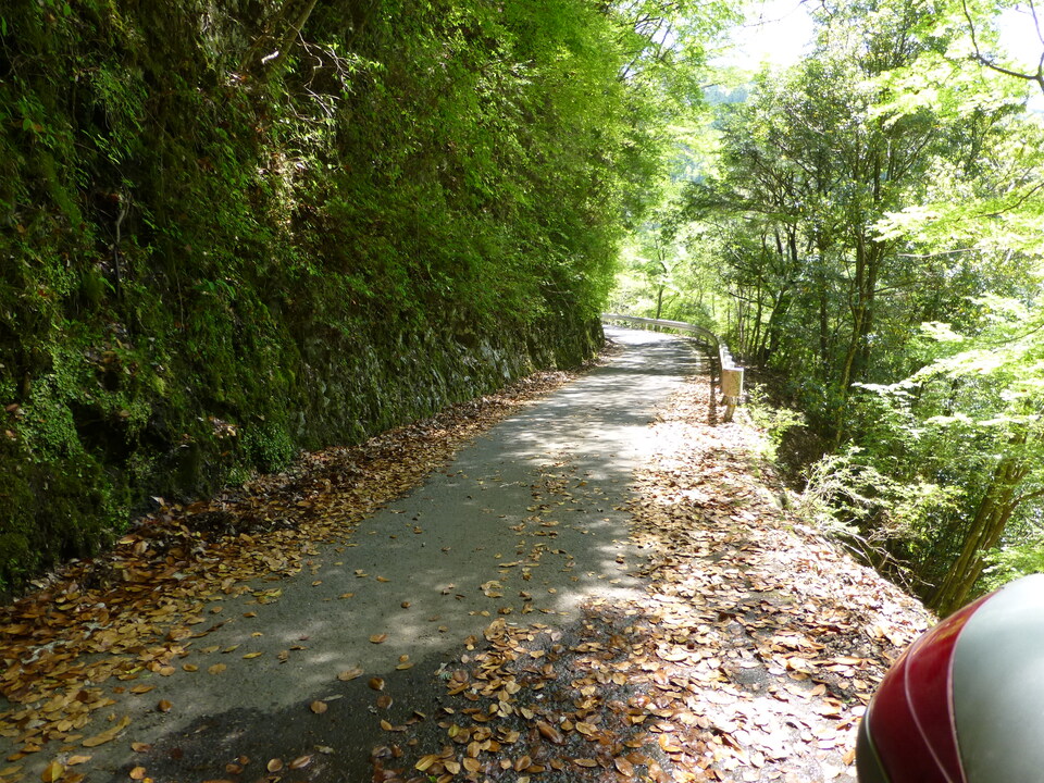 P1050520_mid.jpg