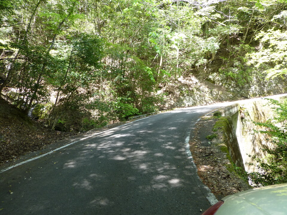 P1050522_mid.jpg